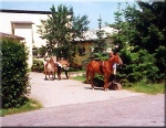 Hotelangebot in Weiler bei Monreal