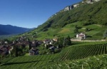 Hotelangebot in Tramin an der Weinstrasse