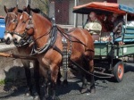 Urlaub Familien Hotel Silbertau in Moorbad Lobenstein