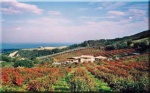�bernachten in Colonnella