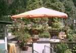 G�nstiges Hotel in Schruns