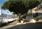 Hotelzimmer in San Bartolomeo al Mare Imperia