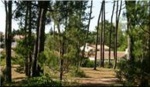 Hotelangebot in Saint Jean De Monts
