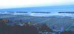 Urlaub Familien Hotel Brasilia in Lido di Classe
