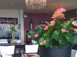 Hotelzimmer in Scharendijke bei Renesse
