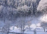 Ferien Hotel Angebote Cafe und Restaurant Zum Schl�ssel in Bad Rippoldsau-Schapbach