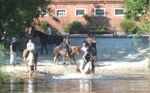 Urlaub Familien Eicker�s Hof in Leer