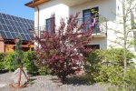 Hotelangebot in Karlshagen