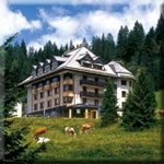 Fahrrad Al Gallo Forcello - Albergo-Ristorante in Pontebba / Passo Pramollo