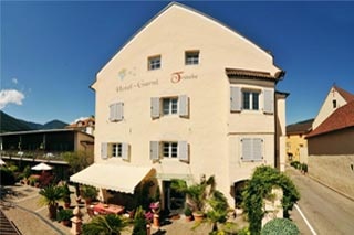 Pension Traubenwirt in Brixen