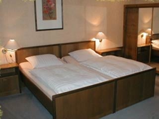 Airport Hotel  in Gohrisch