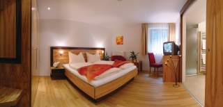 Airport Hotel  in Zell am See