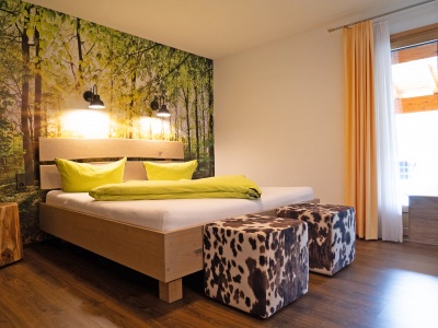 Pension Waldwinkel / Lenzkirch - picture 5
