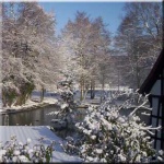 Altes Farmhaus / Lienen - Bild 4