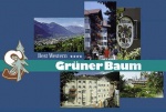 Gr�ner Baum Hotels / Brixen - picture 2