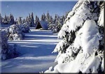 Wintersporthotel Hotel  Schnorbus in in der Wintersportregion Winterberg / Hochsauerland in Hallenberg-Liesen - alle Details