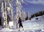 Wintersporthotel Hotel Pension Fernblick in in der Wintersportregion in Sankt Andreasberg - alle Details
