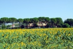 Vega Hotel / Perugia - picture 3