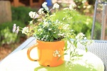 appartamento Usedom-Bike & Suites-Hotel*** in Karlshagen