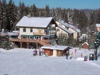 Wintersporthotel Hotel La Darbella in Pr�manon in  Skihotel in 