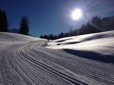 Wintersporthotel Hotel Anneliese in Bad Hindelang / Unterjoch in Unterjoch Skihotel in Oberjoch / Hindelang / Vitales Land