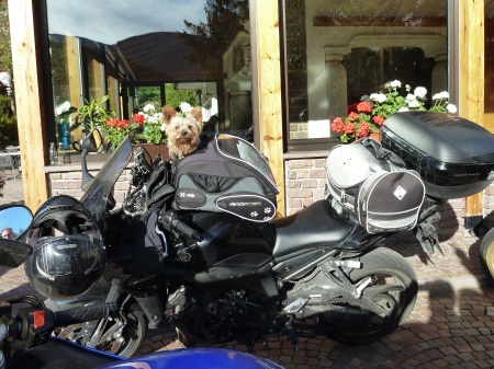  Fahrradtour übernachten im Active Pineta Hotel Camping Restaurant in Baselga di Pine - Dolomiten 