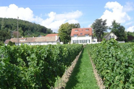 Our motorcyclist-friendly Halbersbacher Hotel Annaberg  