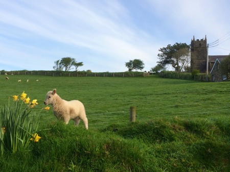  Our motorcyclist-friendly Blue Ball Inn  