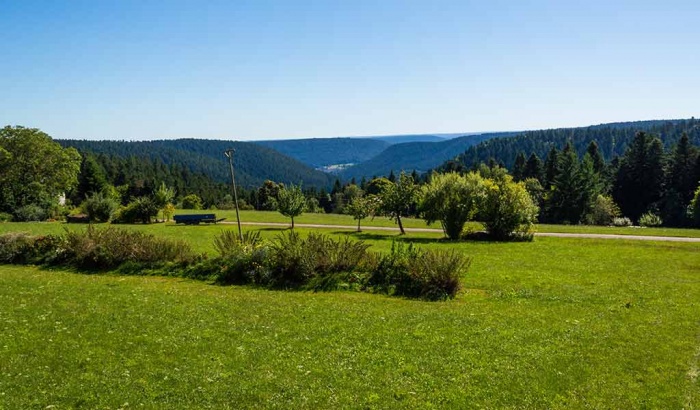  Gäste Fotoeinsendungen 