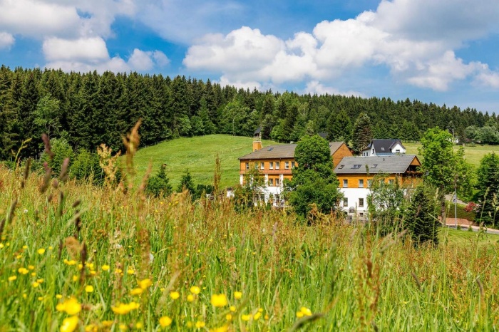  Familien Hotel Angebot im Landhaus Bergidyll in Bärenstein 