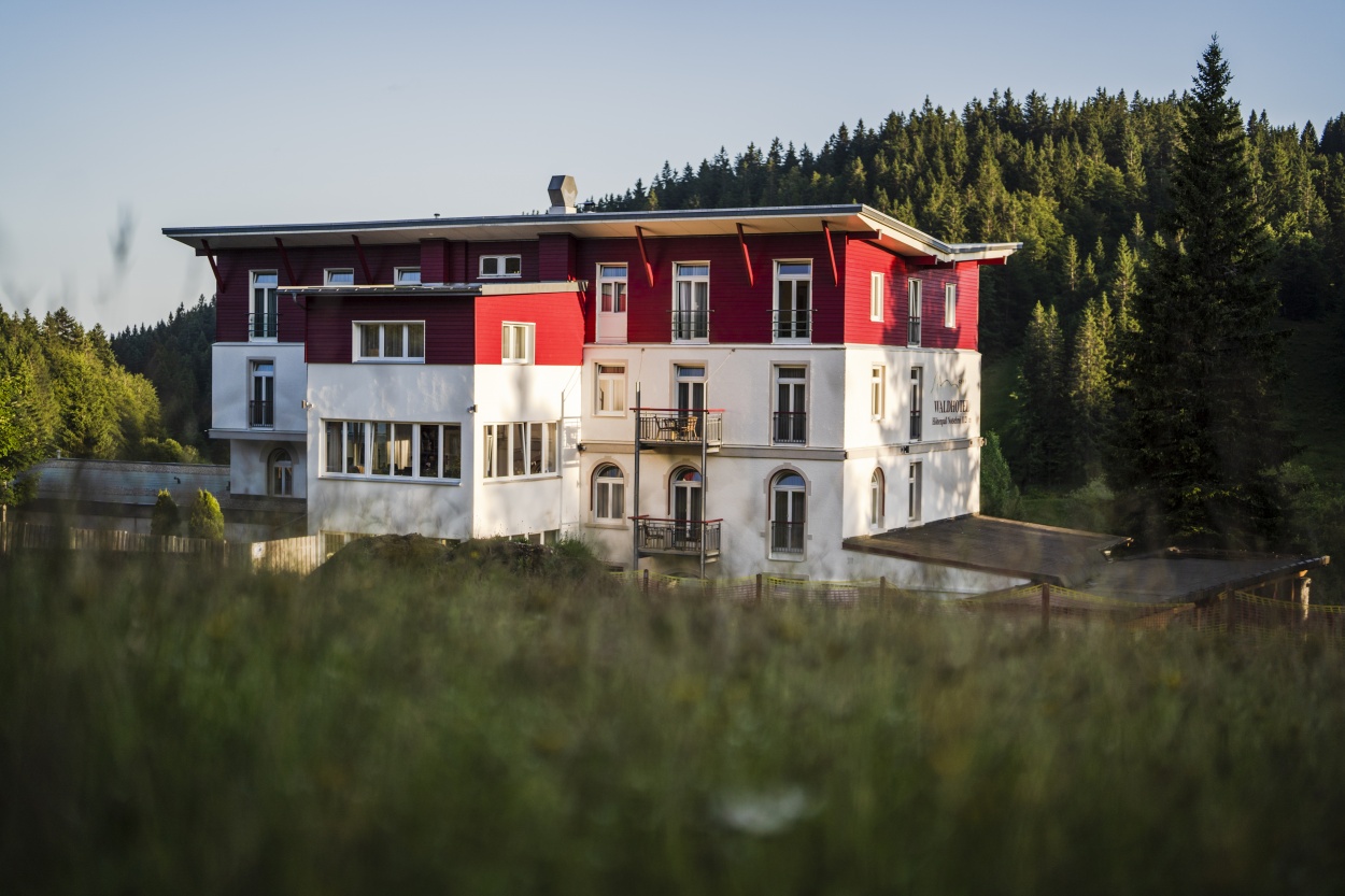  Waldhotel am Notschreipass in Todtnau 