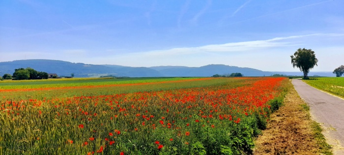  Our motorcyclist-friendly Bikerhouse Hotel Aroma  