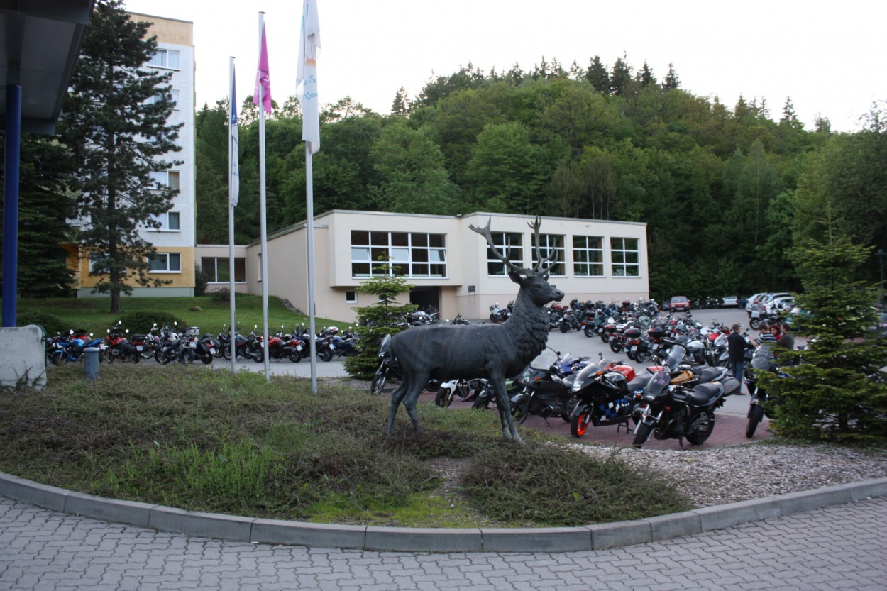  Gäste Fotoeinsendungen 