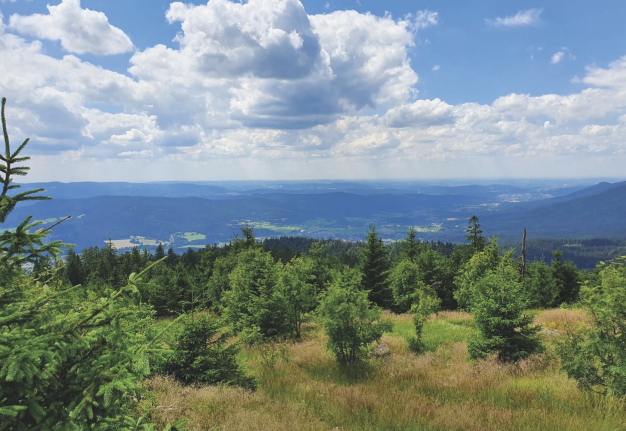  Gäste Fotoeinsendungen 