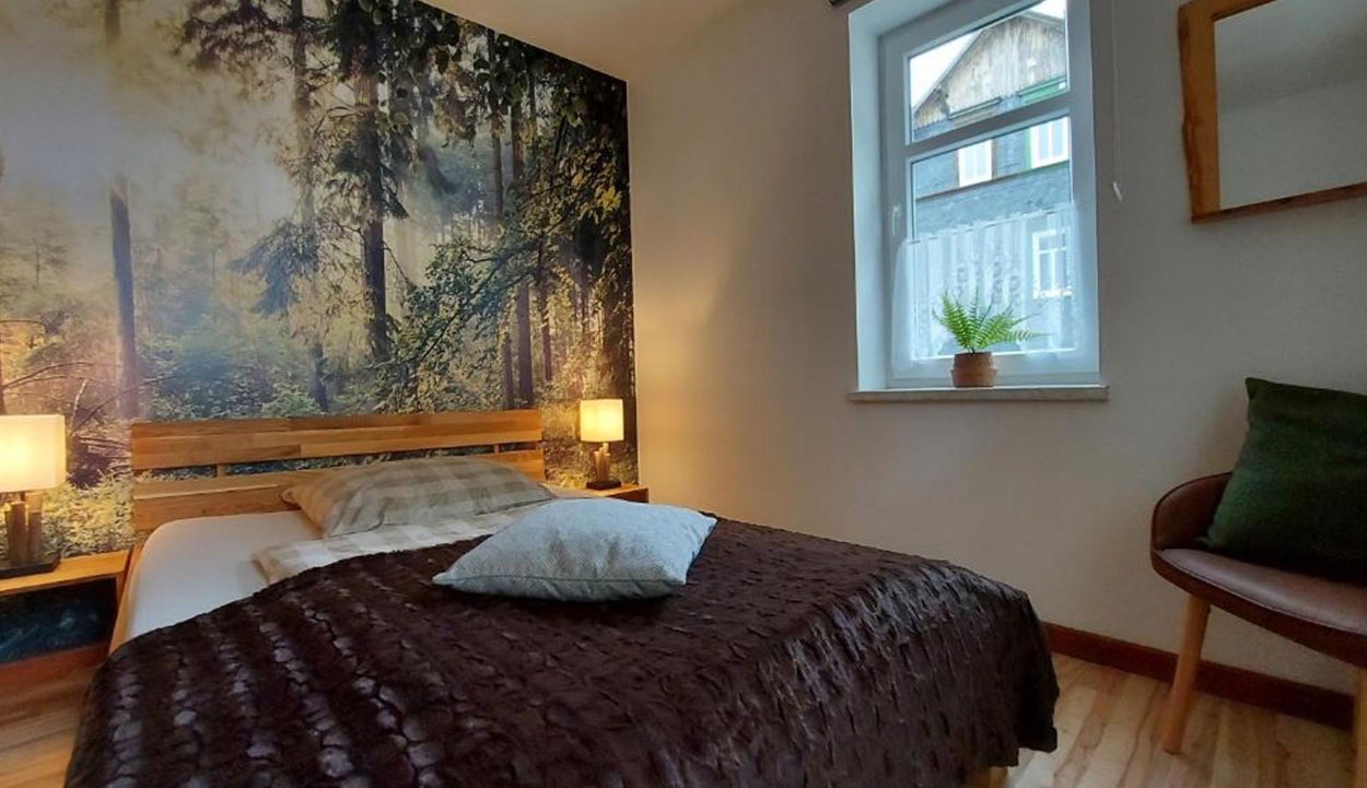  Ferienwohnung Zur alten Tischlerei in Oberhof 