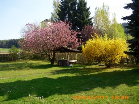  Gäste Fotoeinsendungen 