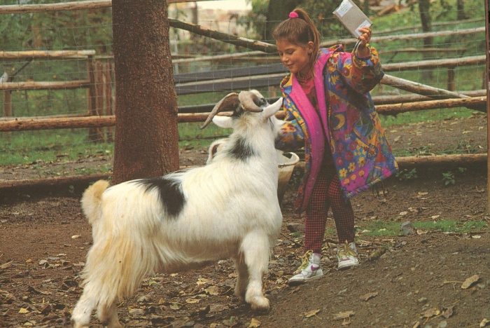  Our motorcyclist-friendly Landhotel & Brauhaus Prignitzer Hof  
