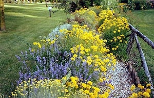  Villa Belfiore in Ostellato 