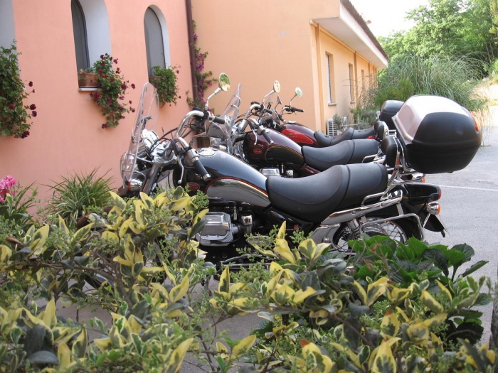  Gäste Fotoeinsendungen 