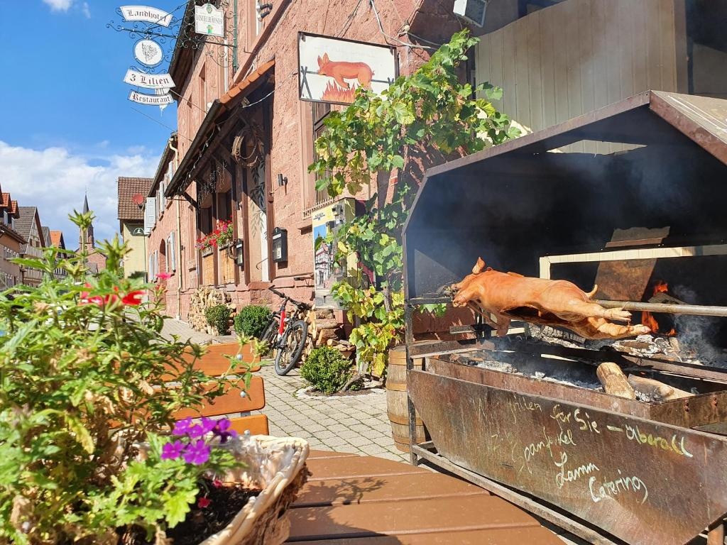  Hotel Drei Lilien in Werbach 