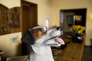  bikerfreundlches Hotel Hohenstauffen in Salzburg 