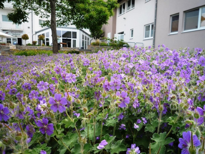 Fahrradfahrer Hotel Cafe Nahetal in Gensingen