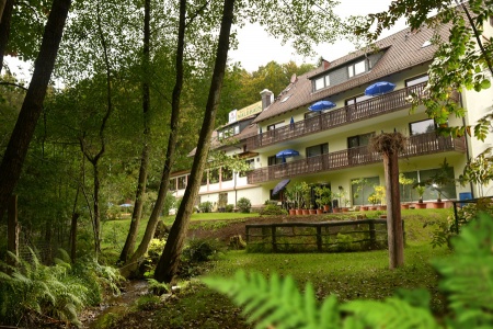  Familien Urlaub - familienfreundliche Angebote im Hotel-RestaurantÂ Waldhaus in Mespelbrunn in der Region Spessart 