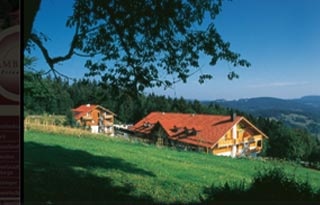  Familien Urlaub - familienfreundliche Angebote im Sporthotel Mitterdorf in Mitterfirmiansreut in der Region Bayerischen Wald 