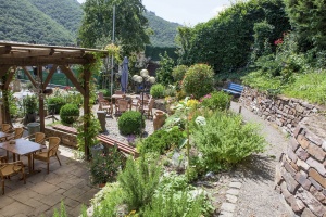  Weinhotel Hubertus Garni in Klotten 