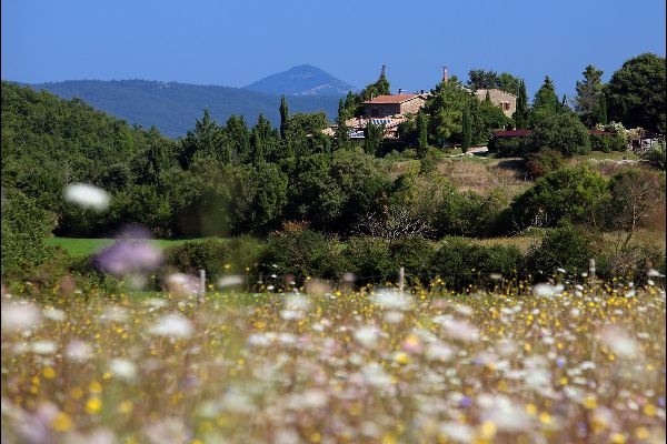  Gäste Fotoeinsendungen 