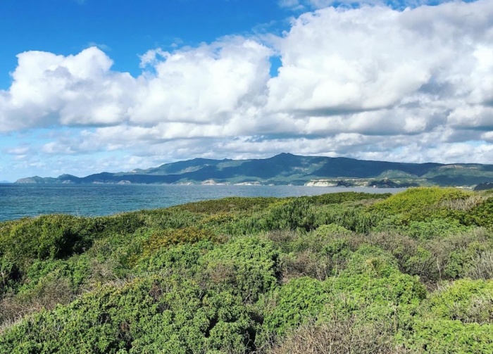  Gäste Fotoeinsendungen 