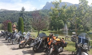  Gäste Fotoeinsendungen 