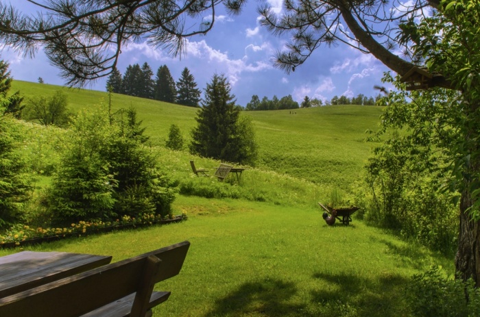  Gäste Fotoeinsendungen 