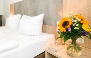  HARZ HOTEL und GÃ¤stehaus in Bad Sachsa 